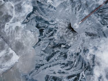 Estrogeny w środowisku – łagodna kastracja